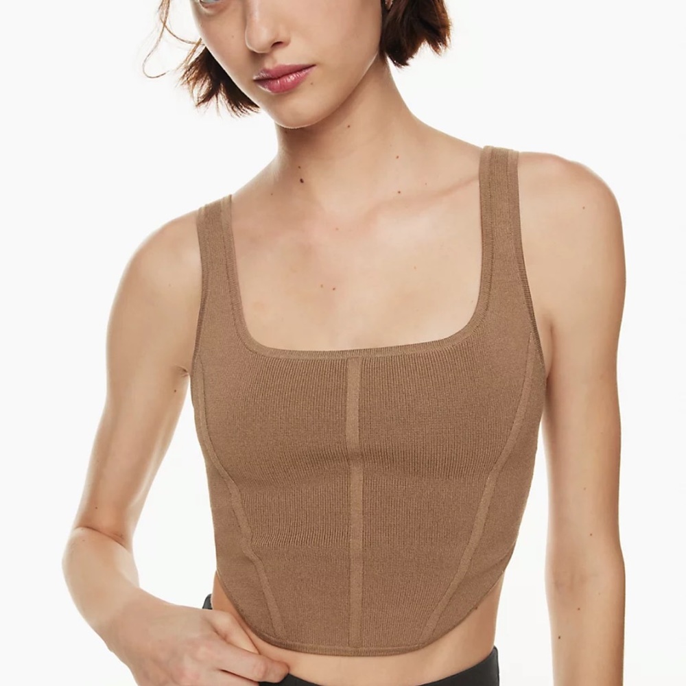 Babaton brown crop top size small